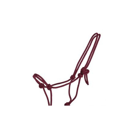 Licol corde basic COULEUR ALEATOIRE
