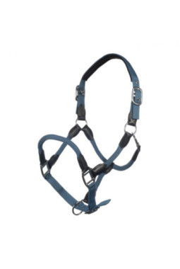 Licol carlotta Smokey blue