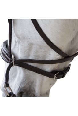 Bridon CANTER bitless Evolution Marron