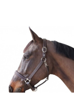 Licol cuir doublé CANTER MARRON