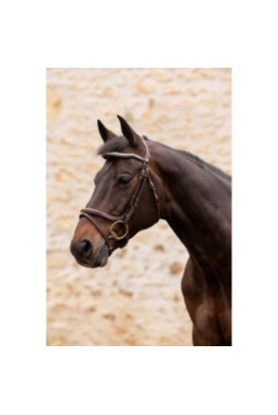 Bridon K by EQUITHÈME - K-KAPTURE HAVANE