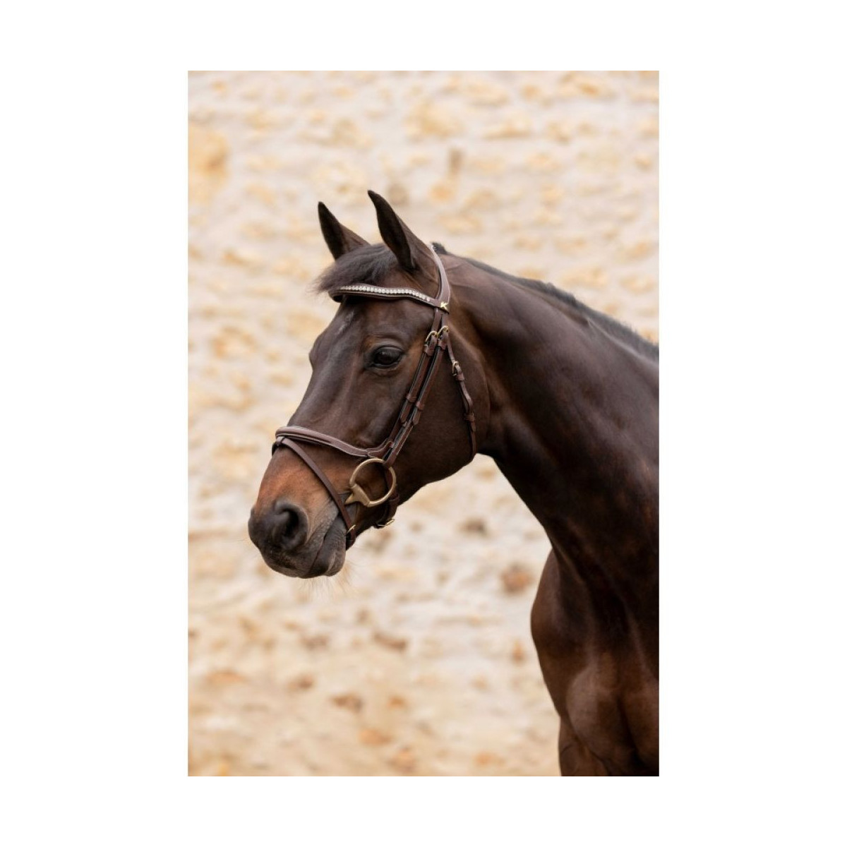 Bridon K by EQUITHÈME - K-KAPTURE HAVANE