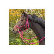 Licol en corde Color avec rênes ROSE