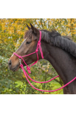 Licol en corde Color avec rênes ROSE