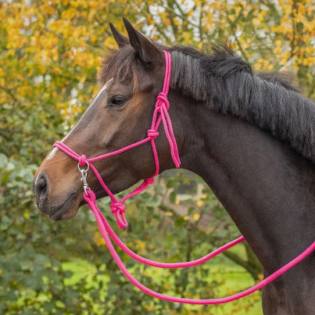 Licol en corde Color avec rênes ROSE