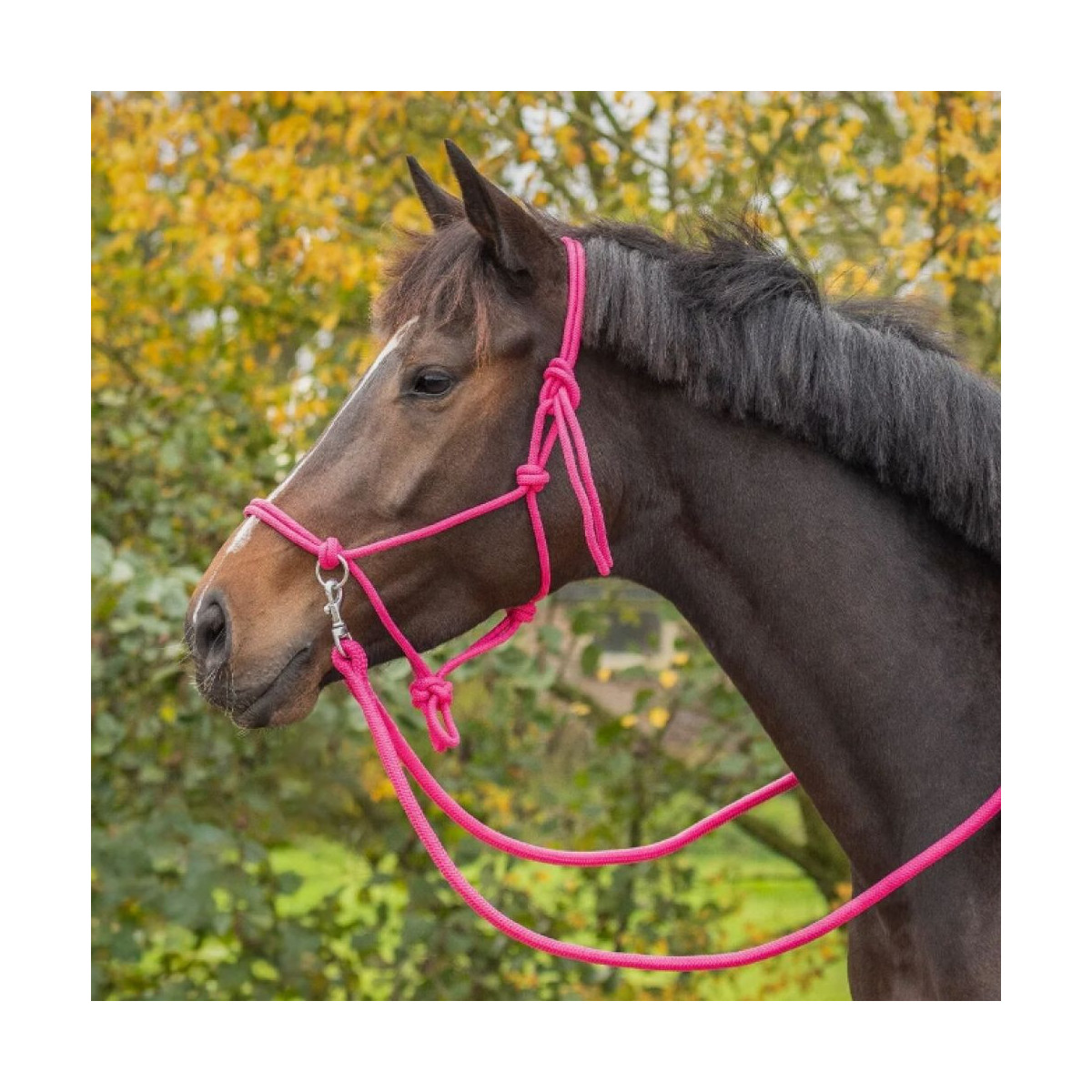 Licol en corde Color avec rênes ROSE